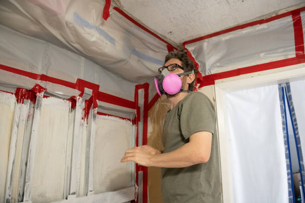 Best Comprehensive Air Testing for Mold Contaminants  in Mount Olive, MS